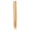 Essential Silky Straight Tape-Ins